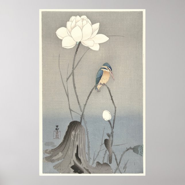 Kingfisher with Lotus Flower - Archival Print (Front)
