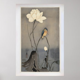 Kingfisher with Lotus Flower by Ohara Koson Poster