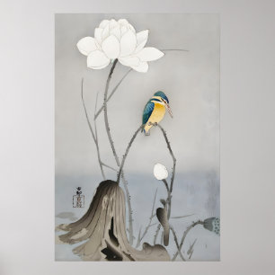 Kingfisher with Lotus Flower Japanese Fine Art Poster