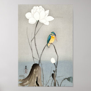 Kingfisher with Lotus Flower - Ohara Koson - 12  Poster
