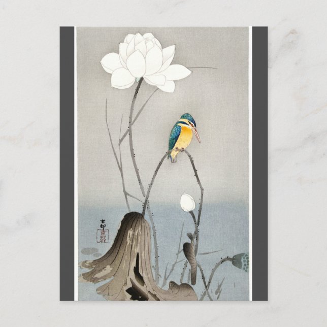 Kingfisher with Lotus Flower Ohara Koson charcoal Postcard (Front)