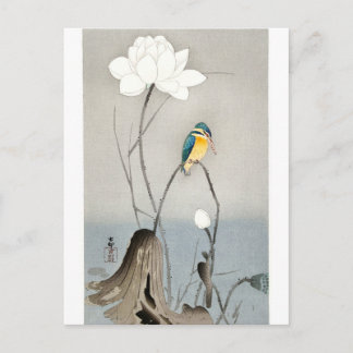 Kingfisher with Lotus Flower - Ohara Koson - white Postcard