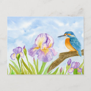 Kingfisher with Purple Irises Postcard