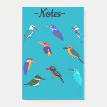 Kingfishers