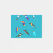 Kingfishers