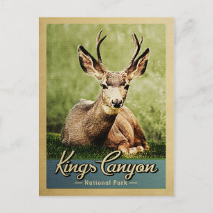 Kings Canyon National Park Deer Vintage Postcard
