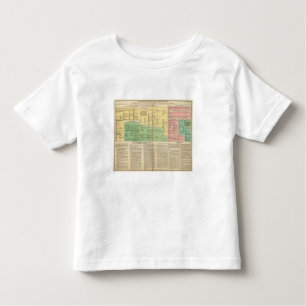 Kings of Ireland and Wales Toddler T-Shirt
