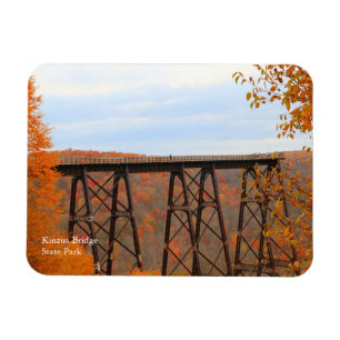Kinzua Bridge Colourful Fall Scene Souvenir Fridge Magnet