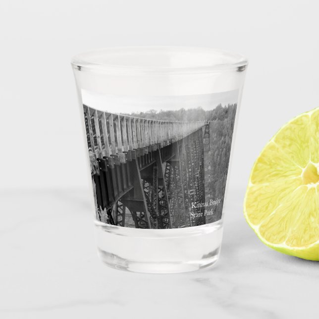 Kinzua Bridge Skywalk Souvenir Shot Glass (Front)
