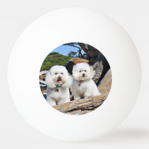 Kirby Shelby - Poodles on Carmel Beach Ping Pong Ball