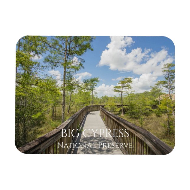 Kirby Storter Boardwalk, Big Cypress, Florida Magnet (Horizontal)