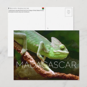 Kirindy, Madagascar Travel Postcard