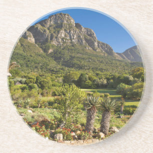 Kirstenbosch Botanic Gardens, Cape Town Coaster
