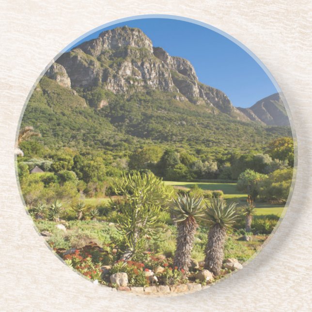 Kirstenbosch Botanic Gardens, Cape Town Coaster (Front)