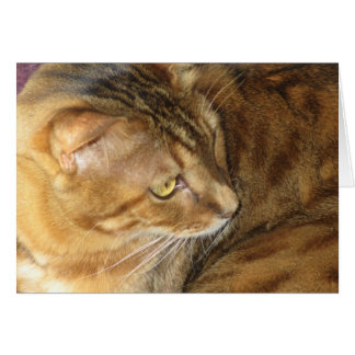 Kishka-glittering in gold