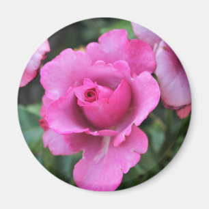 Kiss from a Rose Magnet