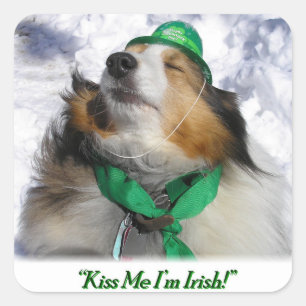 Kiss Me I'm Irish! Square Sticker