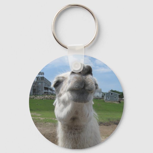 Kiss Me Llama Close-up Key Ring (Front)