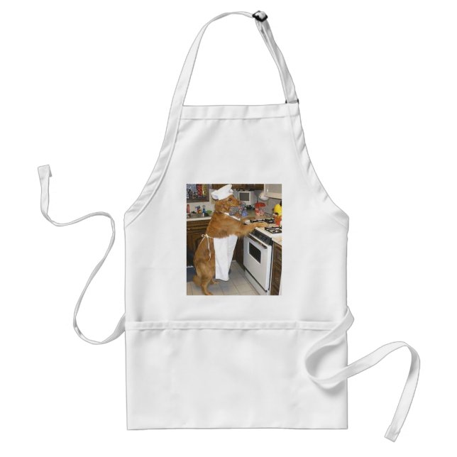 Kiss this Cook Standard Apron (Front)