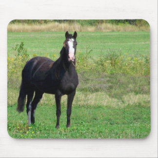 Kisses Mouse Pad