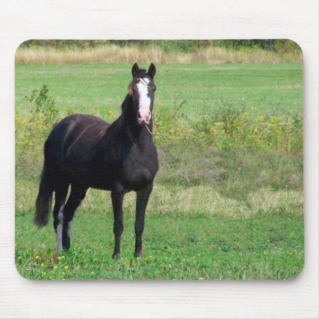 Kisses Mouse Pad (Front)