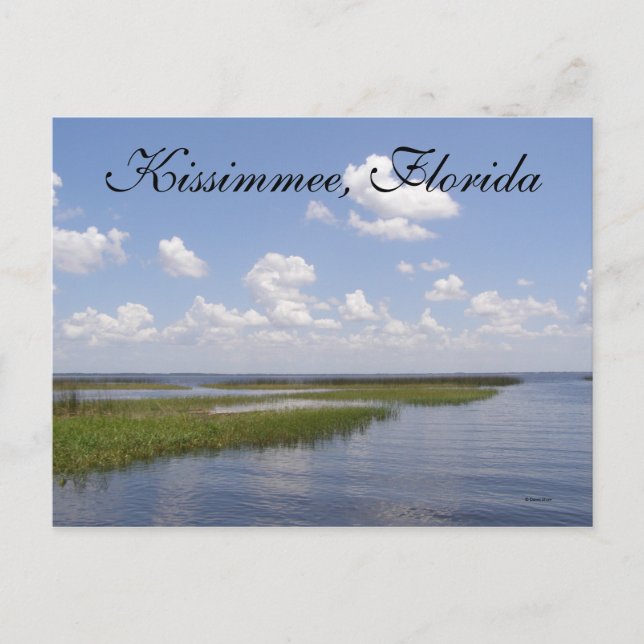 Kissimmee, Florida Postcard (Front)