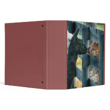 Kissing Alpaca Binder
