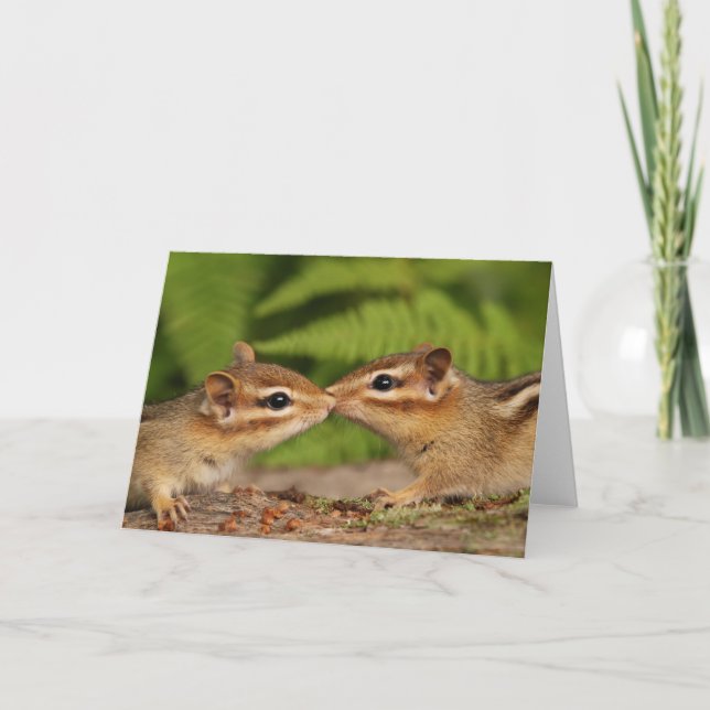 Kissing Baby Chipmunks Card (Front)