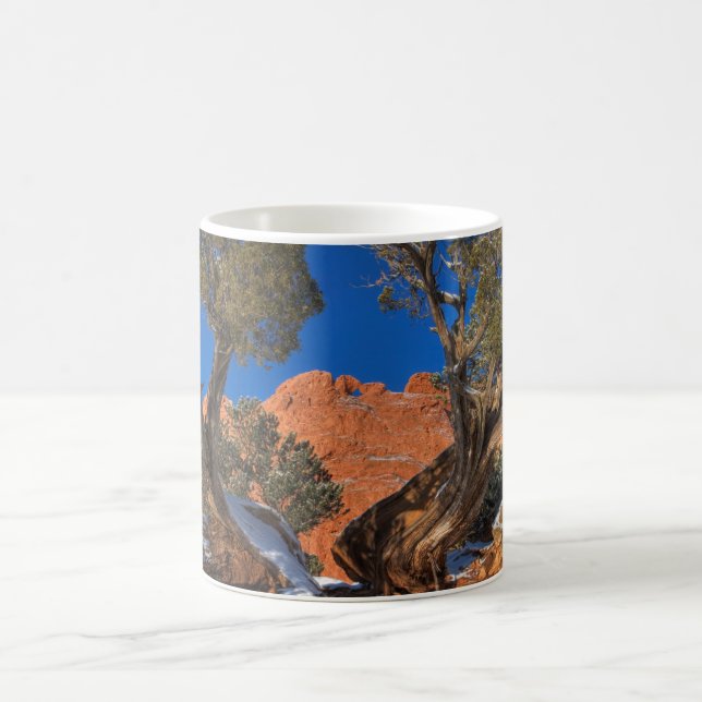 Kissing Camels Framed by Tree 01 Coffee Mug (Center)