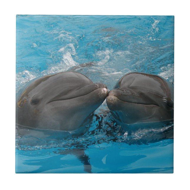 Kissing Dolphins Tile (Front)