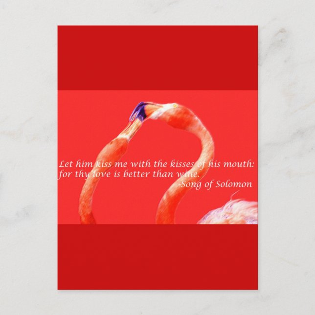 Kissing Flamingos Postcard (Front)