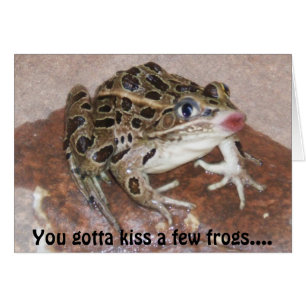 Kissing Frog card