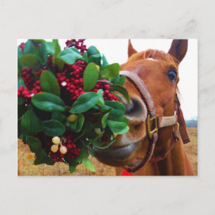 Kissing Horse under Mistletoe Postcard