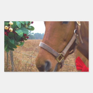 Kissing Horse under Mistletoe Rectangular Sticker