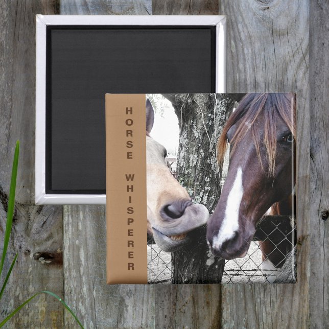 Kissing Horses Horse Whisperer Magnet (Creator Uploaded)