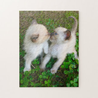 kissing kittens in clover jigsaw puzzle