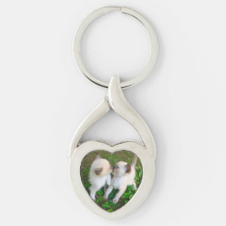 Kissing Kittens Key Ring