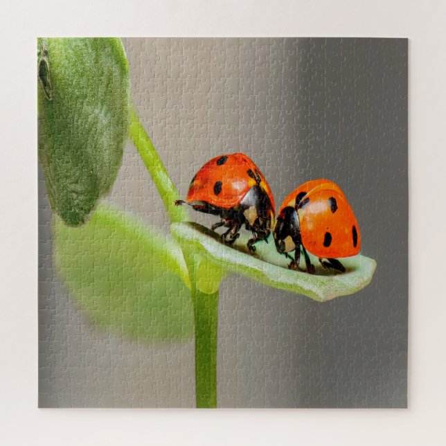 Kissing Ladybugs Jigsaw Puzzle (Vertical)