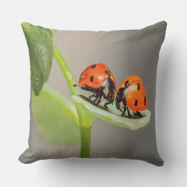 Kissing Ladybugs Outdoor Cushion (Front)