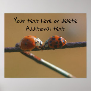 Kissing Ladybugs Personalised Poster