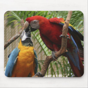 Kissing Macaws Mouse Pad