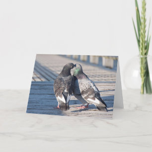 Kissing Pigeons Frameable Art Card