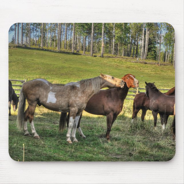 Kissing Pinto Stallion & Sorrel Mare Equine Photo Mouse Pad (Front)