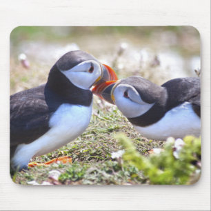 Kissing Puffins Mousemat
