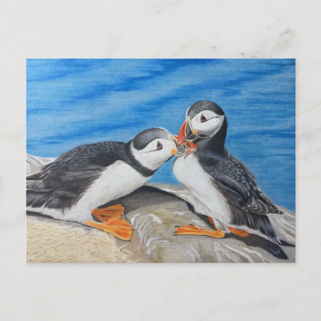 Kissing Puffins Postcard (Front)