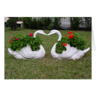 Kissing swans planters