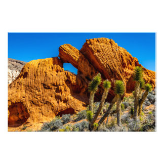 Kissing Turtle Rock Photo Print