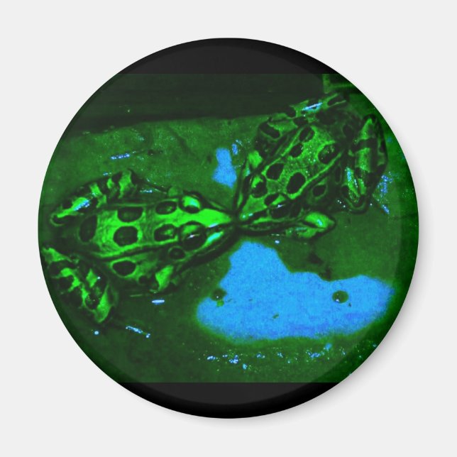 kissy frogs magnet (Front)