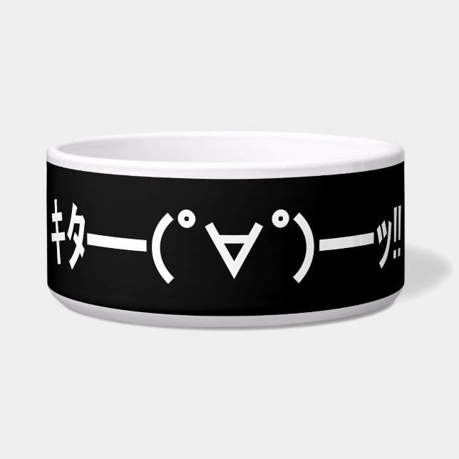 KITA!! Emoticon キタ━━━(゜∀゜)━━━ッ!! Japanese Kaomoji (Front)