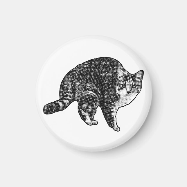 Kitchen Door Tabby Magnet (Front)